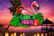 Flamingo Paradise